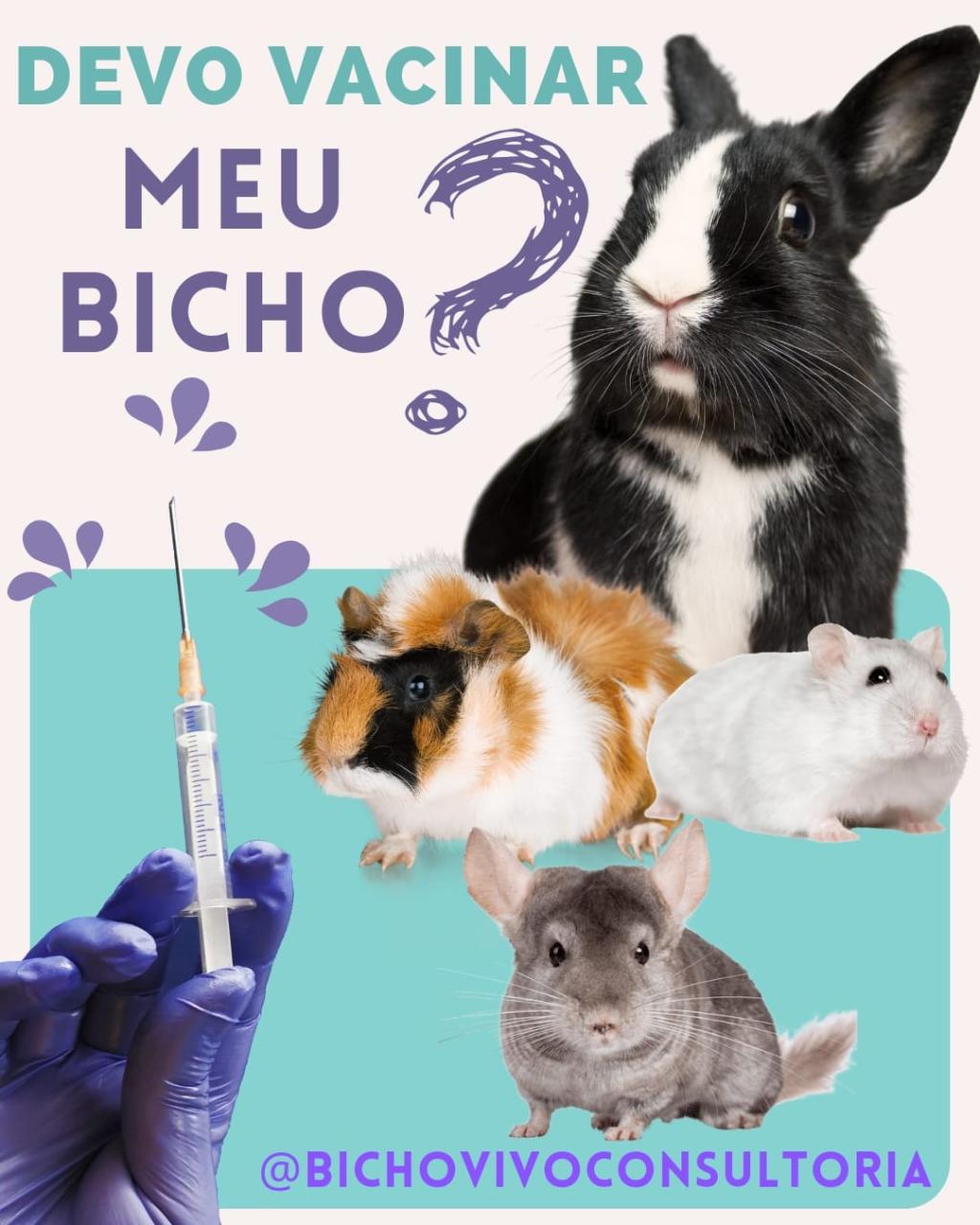 Devo vacinar meu bicho???